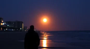 Myrtle Beach Braces for Chilly Night but Enjoys Warm Sunshine Ahead