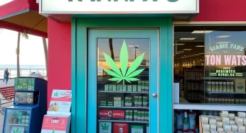 New Moratorium on Cannabis and Tobacco Sales in Surfside Beach Amid Family-Friendly Image Concerns