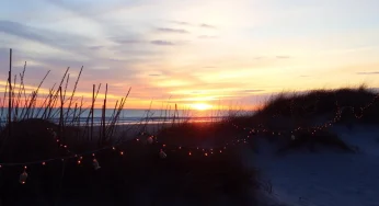 Winter Delights Await in Myrtle Beach: A Local’s Guide to Seasonal Fun