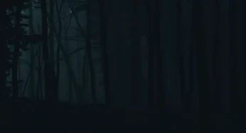 Newberry County Police Officer Claims Bigfoot Sighting Near Columbia