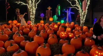 Spooktacular Halloween Thrills Draw 235,000 Visitors to Conway