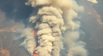 Horry County Faces Fire Surge: 11 Fires in Just One Week!