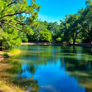 A tranquil view of a Florida state park demonstrating its natural landscape.