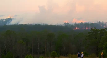 Wildfires Devastate South Carolina as Firefighters Battle Blaze