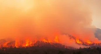 Wildfires Rage Across the Carolinas: A State of Emergency Declared