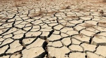 Horry and Georgetown Counties Face Severe Drought Challenges